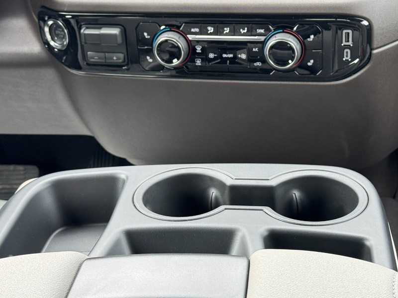 Chevrolet Silverado 1500 Vehicle Image 09