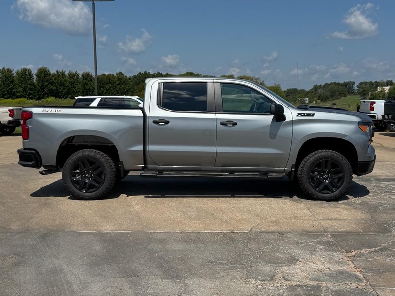 Chevrolet Silverado 1500 Vehicle Image 02