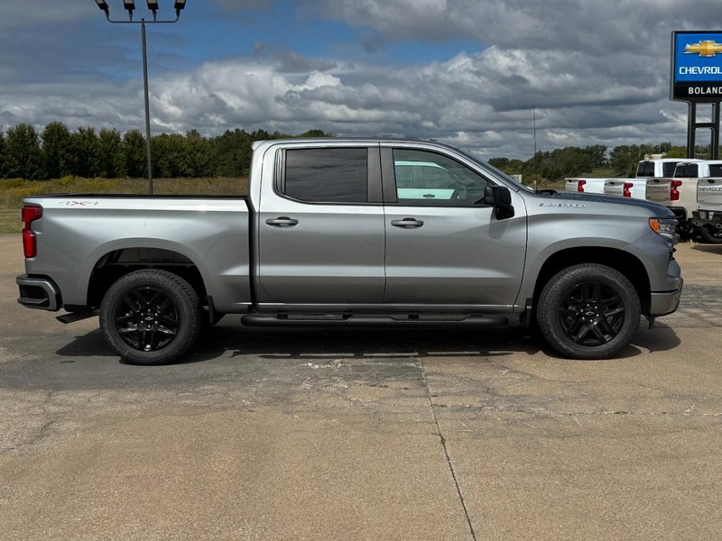Chevrolet Silverado 1500 Vehicle Image 02