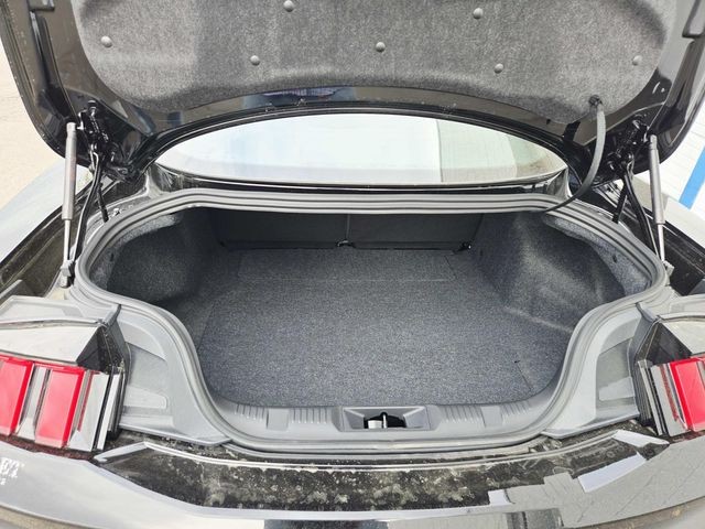 Ford Mustang Vehicle Full-screen Gallery Image 09