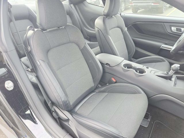 Ford Mustang Vehicle Full-screen Gallery Image 11