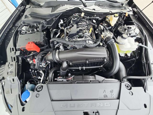 Ford Mustang Vehicle Full-screen Gallery Image 12