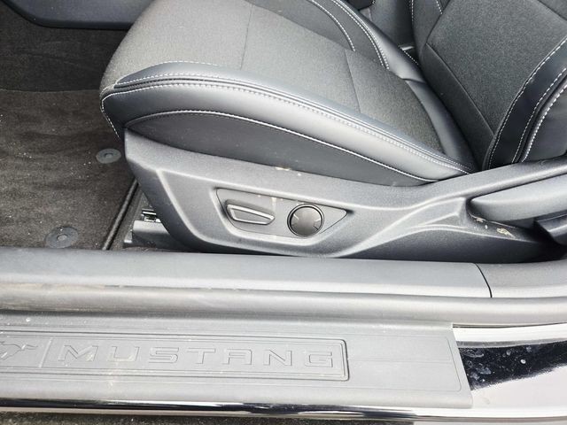 Ford Mustang Vehicle Full-screen Gallery Image 27