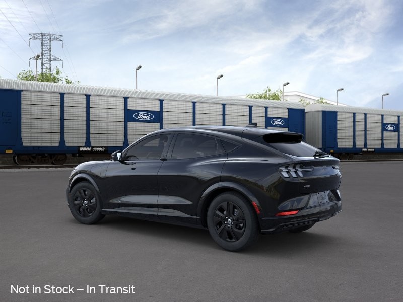 Ford Mustang Mach-E Vehicle Image 04