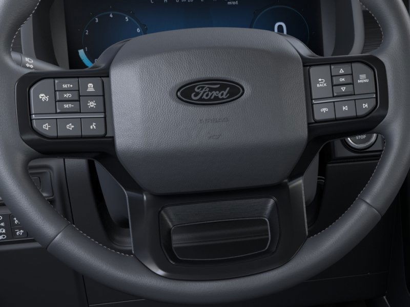 Ford F-150 Vehicle Image 12