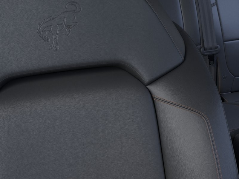 Ford Bronco Vehicle Image 18
