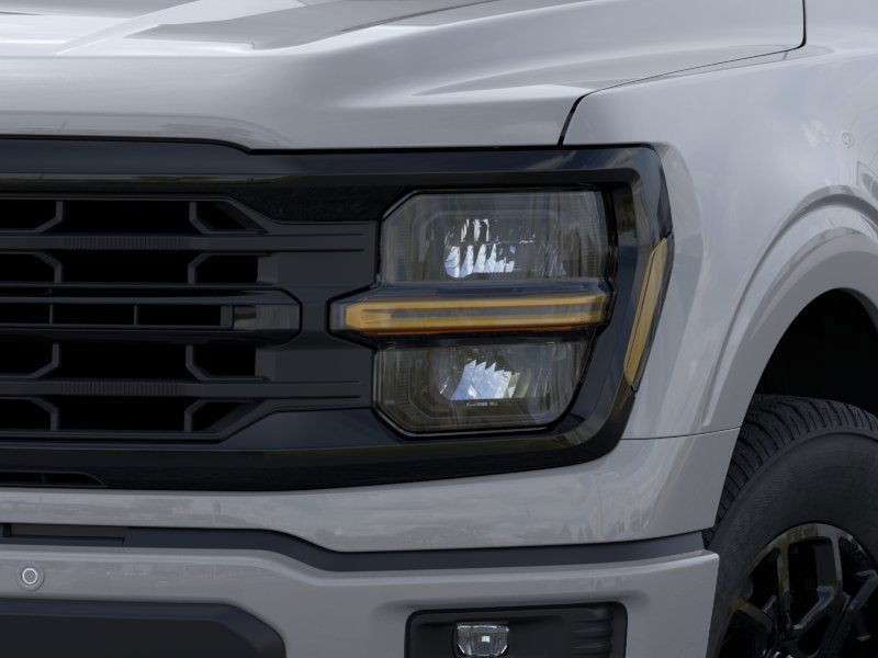 Ford F-150 Vehicle Image 18