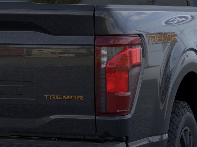Ford F-150 Vehicle Image 21