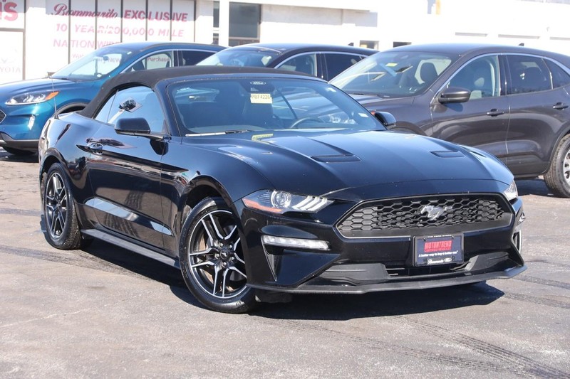 Ford Mustang Vehicle Image 02