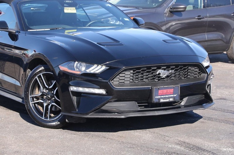 Ford Mustang Vehicle Image 03