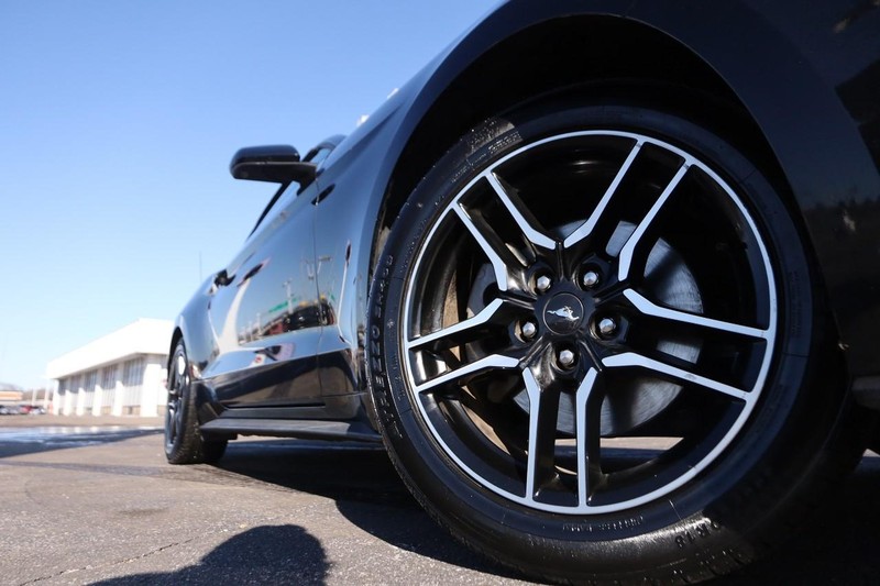 Ford Mustang Vehicle Image 04