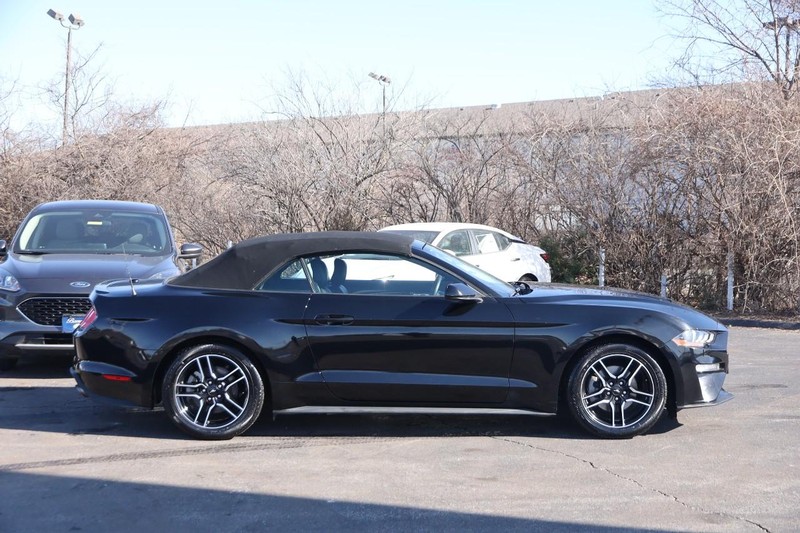 Ford Mustang Vehicle Image 06