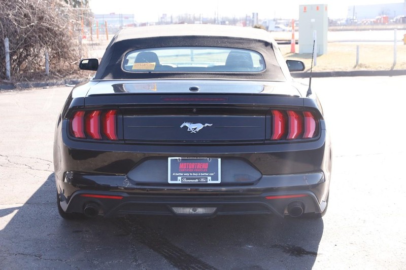 Ford Mustang Vehicle Image 07