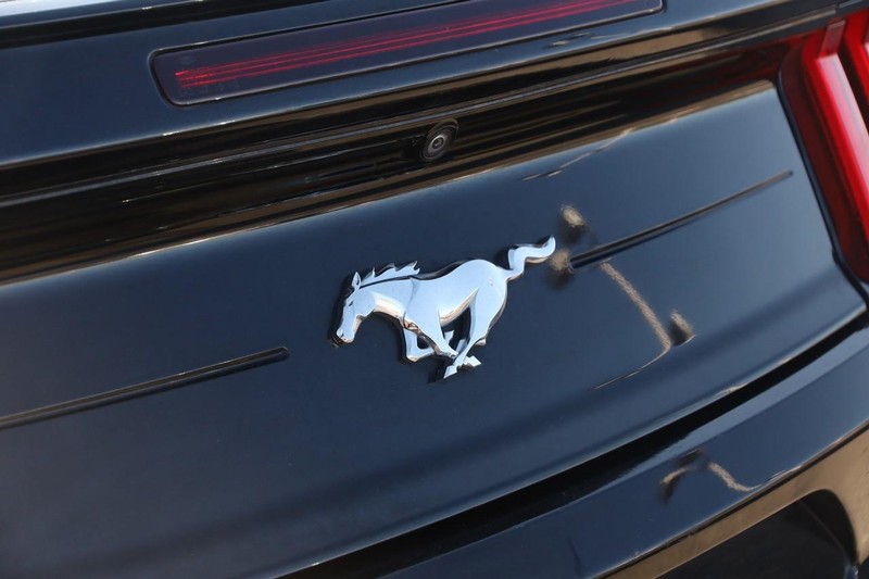Ford Mustang Vehicle Image 08