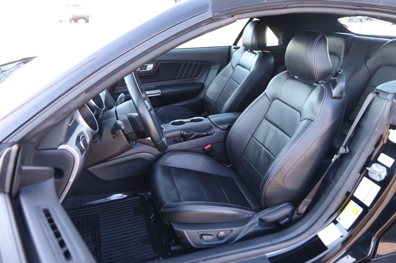 Ford Mustang Vehicle Image 10
