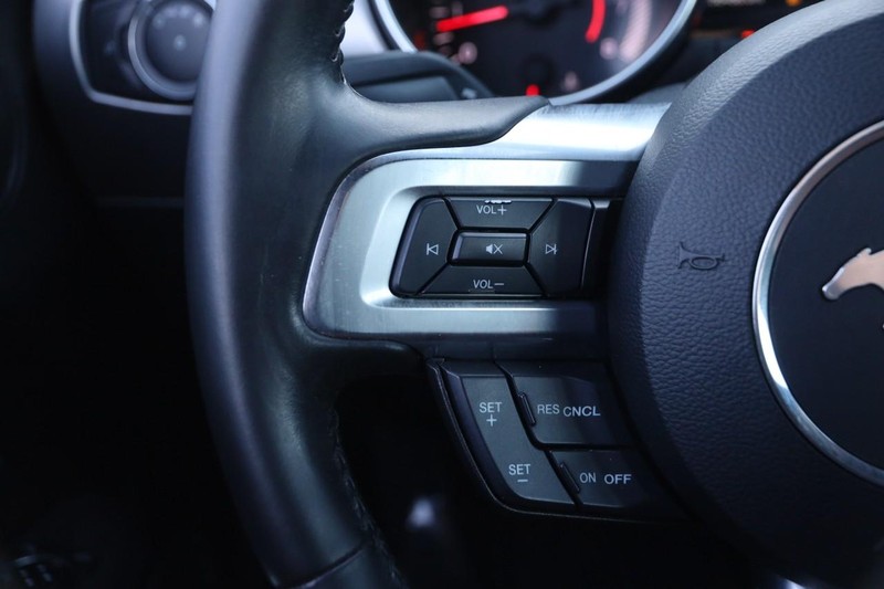 Ford Mustang Vehicle Image 13