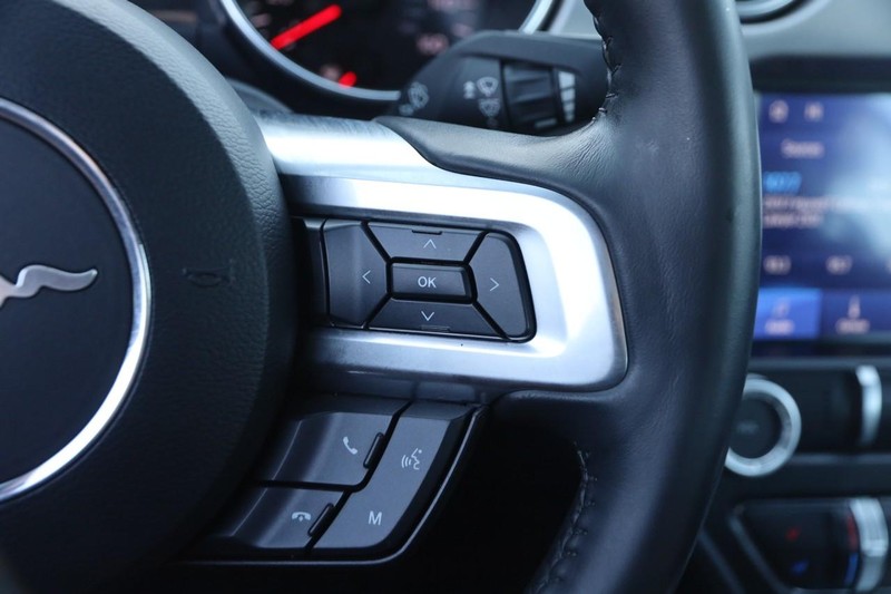 Ford Mustang Vehicle Image 14