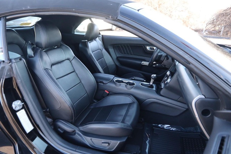 Ford Mustang Vehicle Image 22