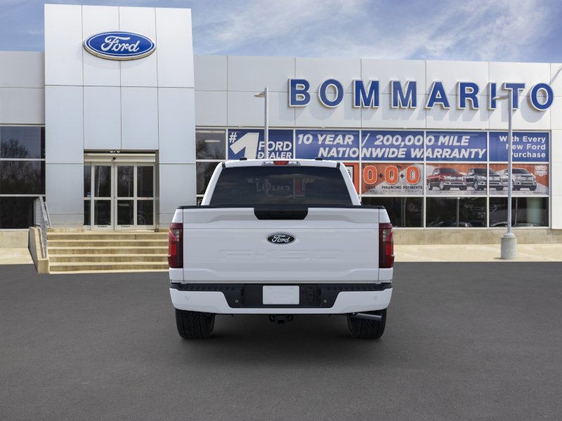 Ford F-150 Vehicle Image 05