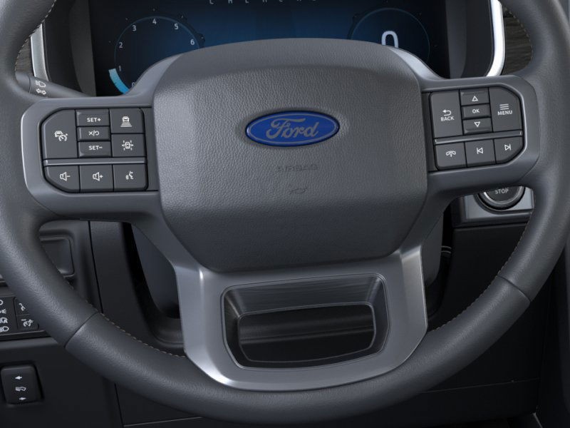 Ford F-150 Vehicle Image 12