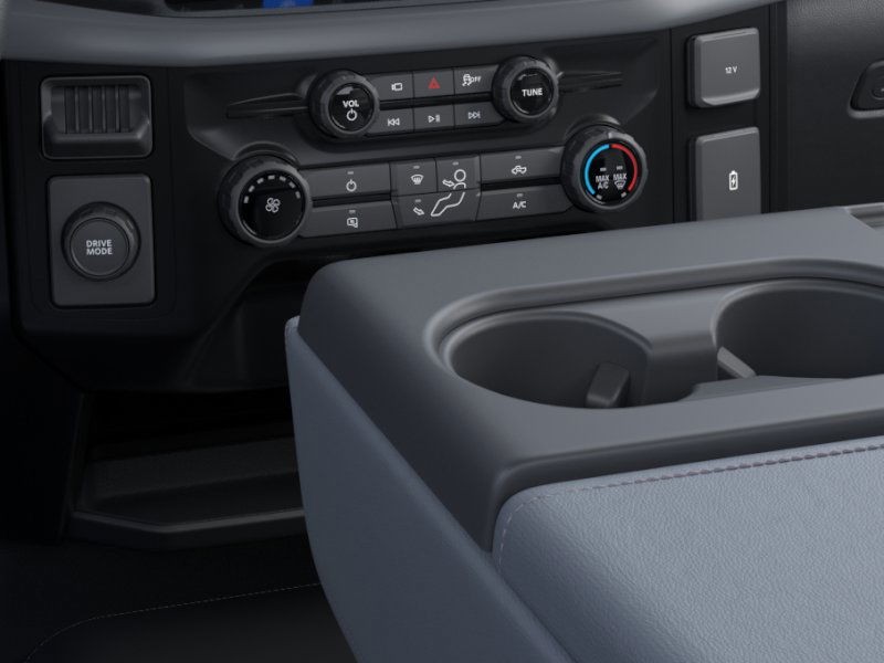 Ford F-150 Vehicle Image 15
