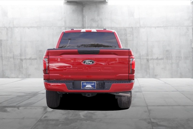 Ford F-150 Vehicle Image 06