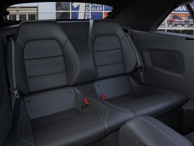 Ford Mustang Vehicle Image 11