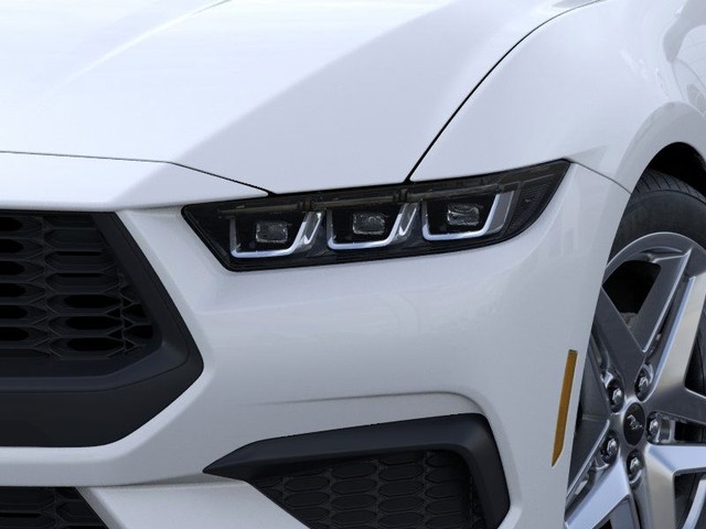 Ford Mustang Vehicle Image 18