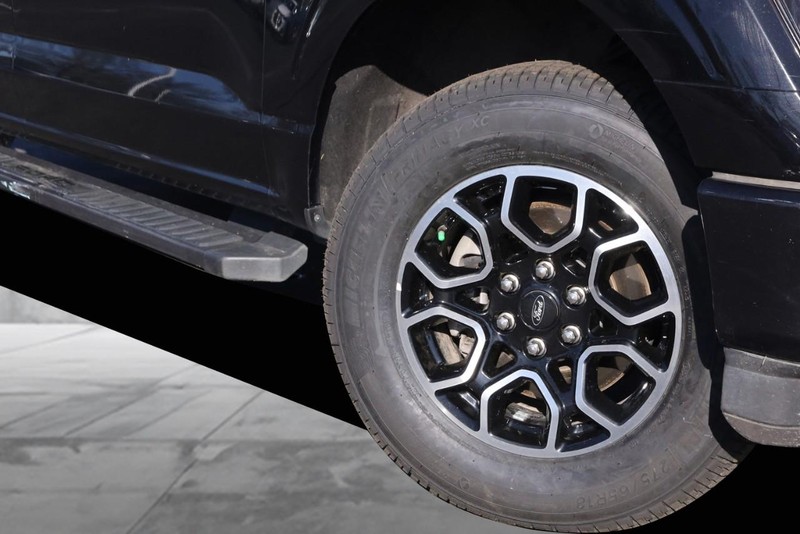 Ford F-150 Vehicle Image 03