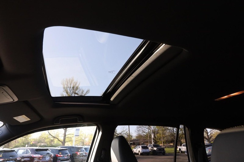 Honda Passport Vehicle Image 09
