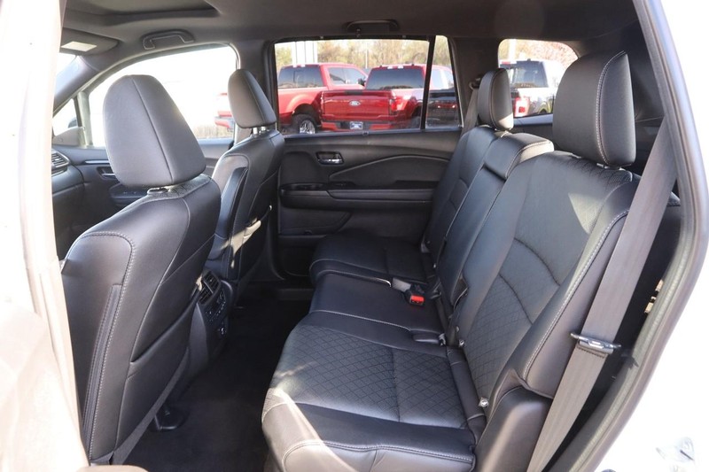 Honda Passport Vehicle Image 11