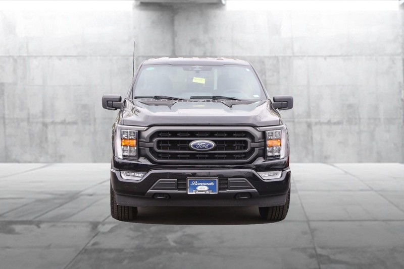 Ford F-150 Vehicle Image 04