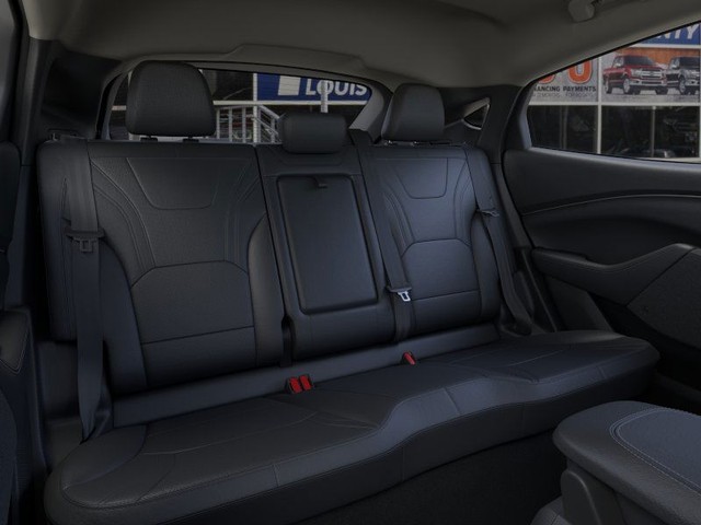 Ford Mustang Mach-E Vehicle Image 11