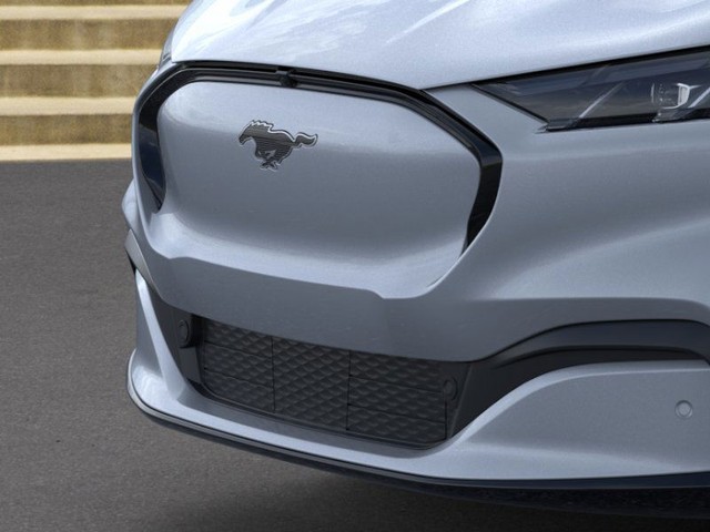 Ford Mustang Mach-E Vehicle Image 17