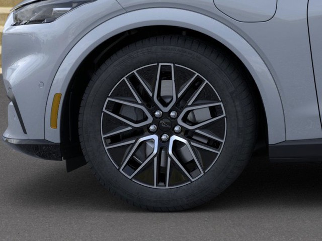 Ford Mustang Mach-E Vehicle Image 19