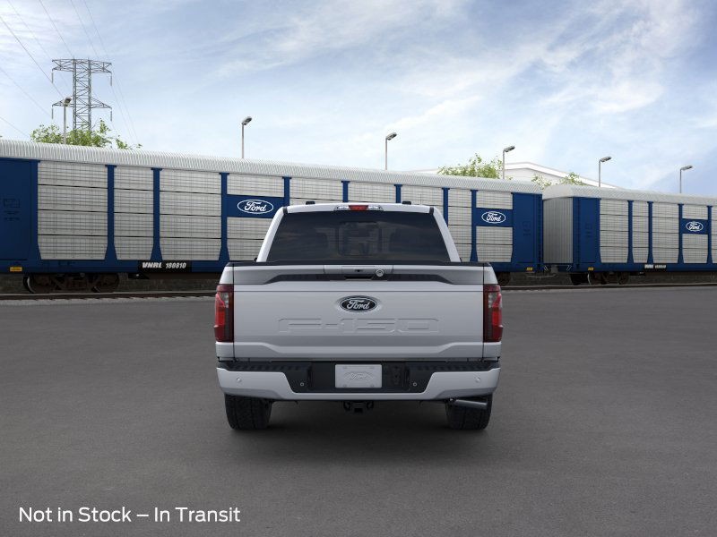 Ford F-150 Vehicle Image 05