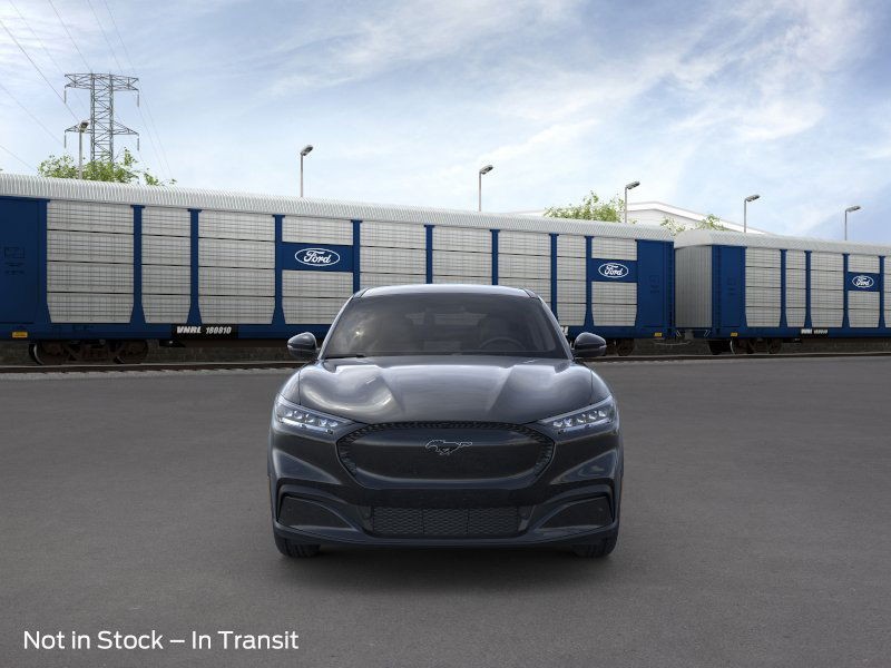 Ford Mustang Mach-E Vehicle Image 06