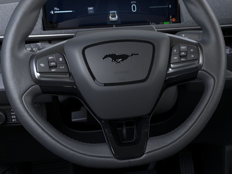 Ford Mustang Mach-E Vehicle Image 12