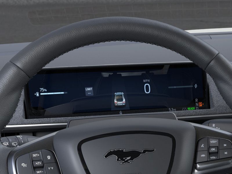 Ford Mustang Mach-E Vehicle Image 13