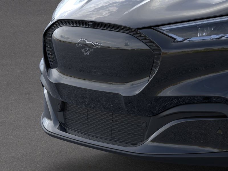 Ford Mustang Mach-E Vehicle Image 17