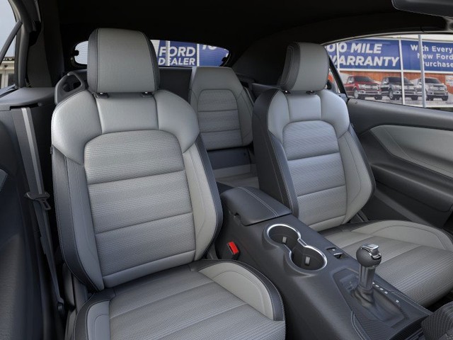 Ford Mustang Vehicle Image 10