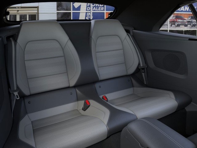 Ford Mustang Vehicle Image 11