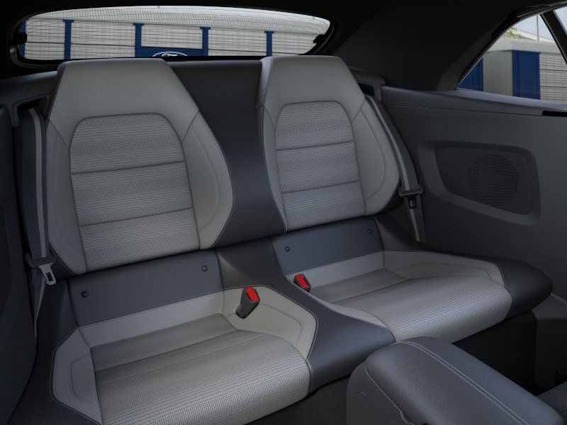 Ford Mustang Vehicle Image 11