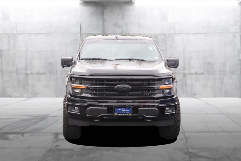 Ford F-150 Vehicle Image 04