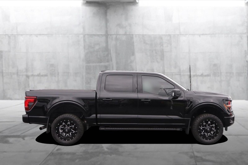 Ford F-150 Vehicle Image 05
