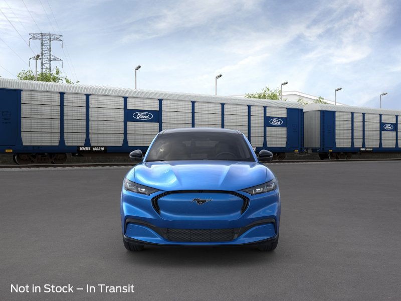 Ford Mustang Mach-E Vehicle Image 06