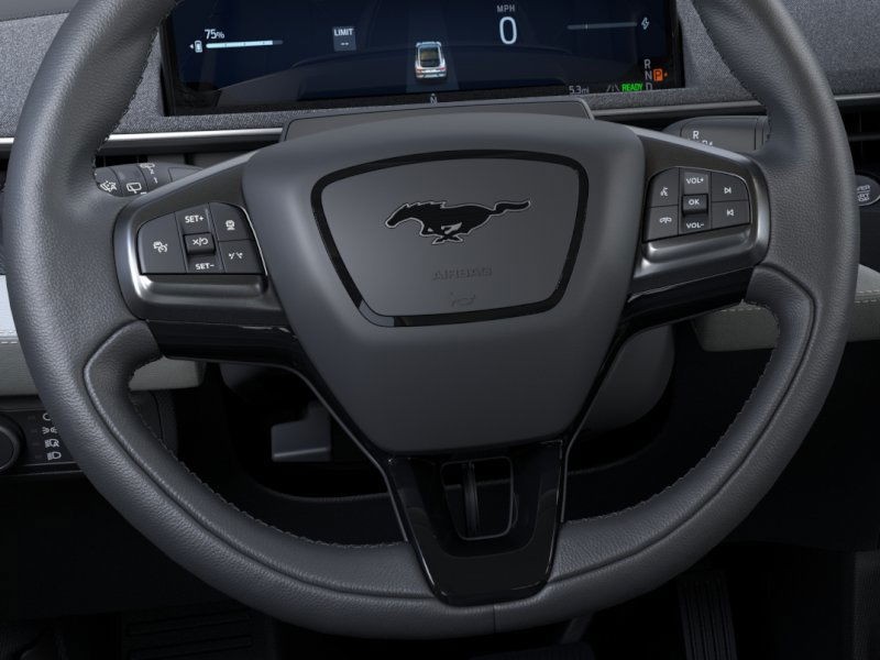Ford Mustang Mach-E Vehicle Image 12