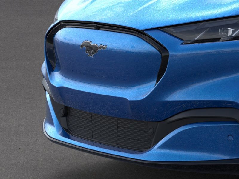 Ford Mustang Mach-E Vehicle Image 17