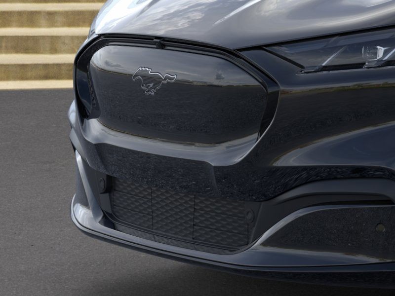 Ford Mustang Mach-E Vehicle Image 17