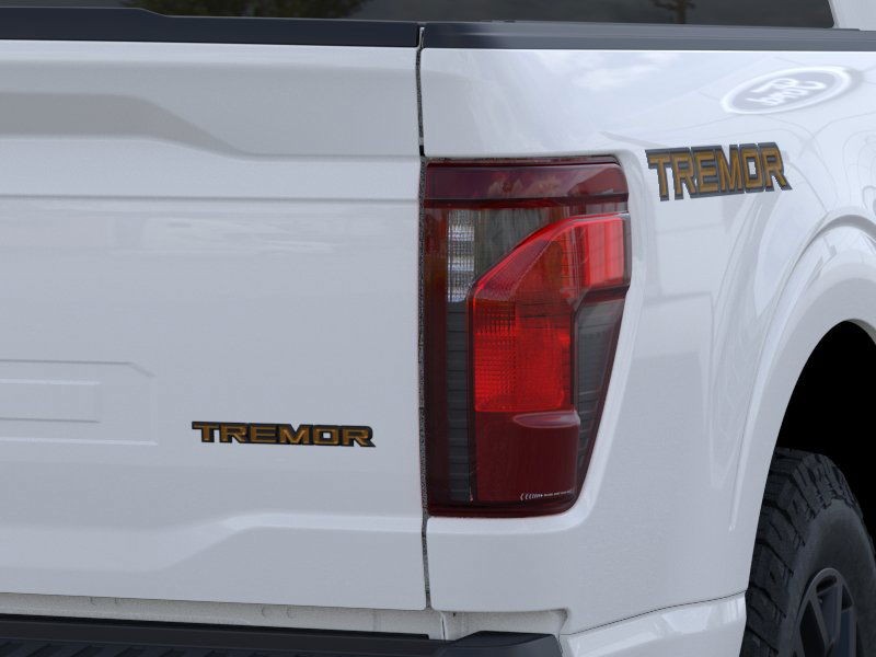 Ford F-150 Vehicle Image 21